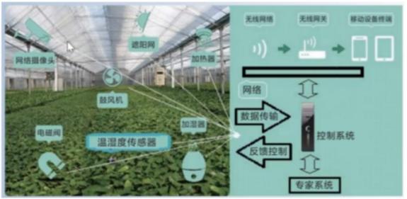 智能大棚控制系统方案结构图